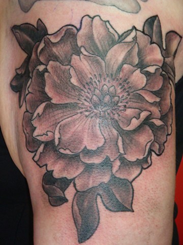 Black And Grey Peony Flower Tattoo Design For Shoulder