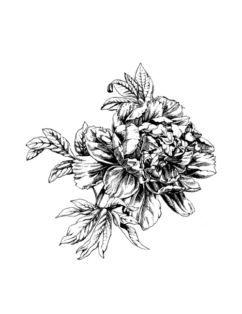 Black Ink Peony Flower Tattoo Design