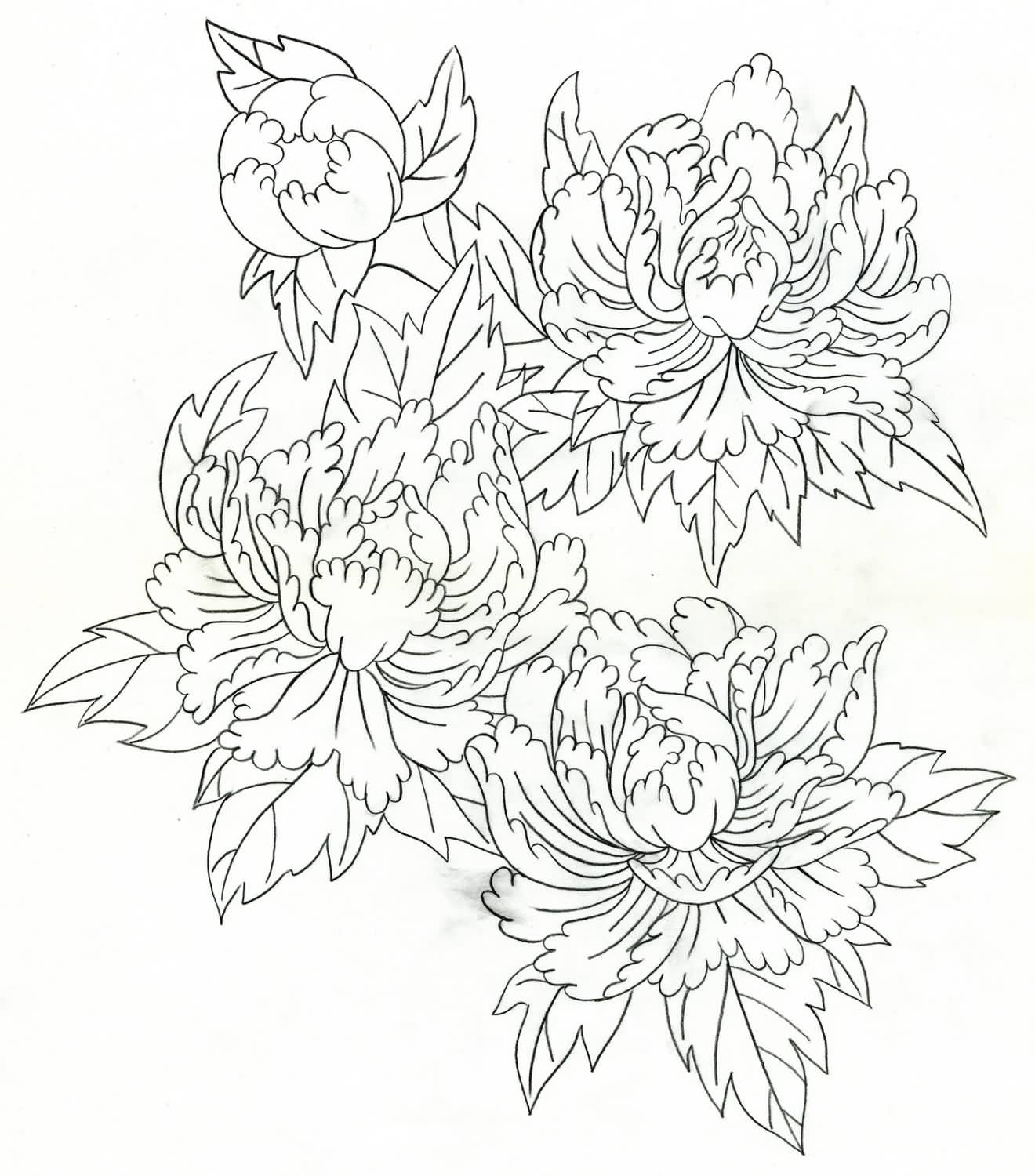Black Outline Peony Flowers Tattoo Stencil