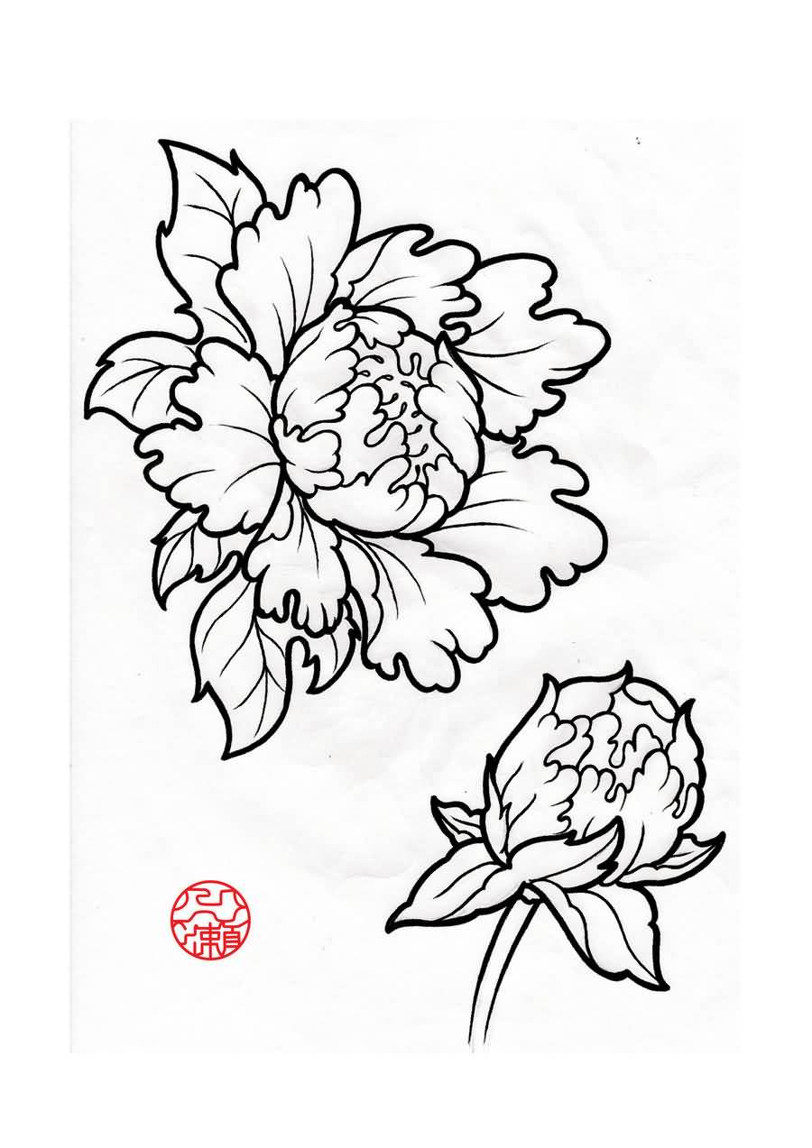 Black Outline Two Peony Flower Tattoo Stencil