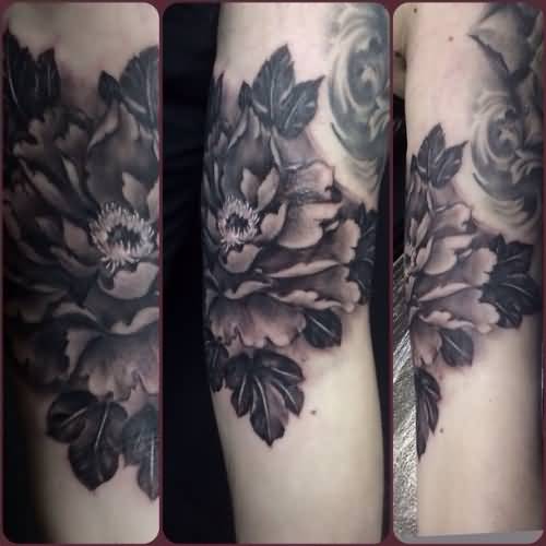 Classic Black And Grey Peony Flower Tattoo Design For Half Sleeve By Silvia Zed