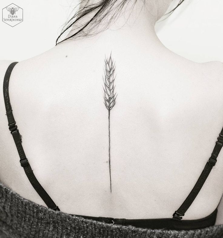 Classic Wheat Tattoo On Girl Upper Back
