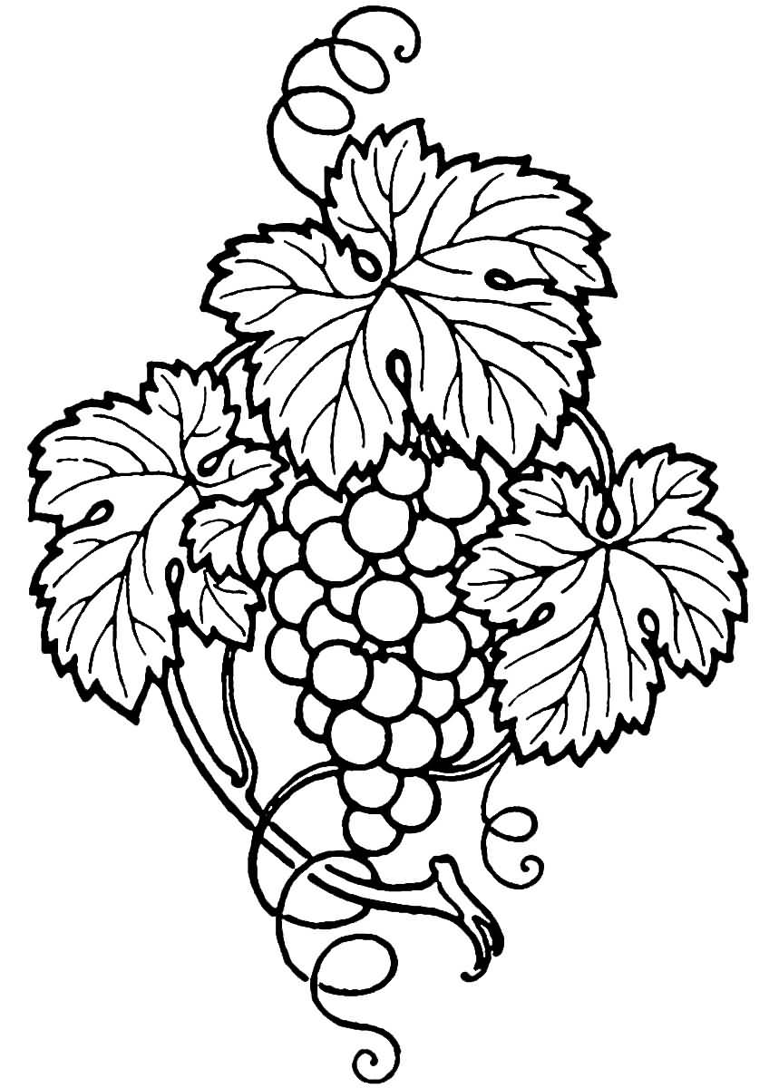 Cool Black Outline Grapes Tattoo Stencil
