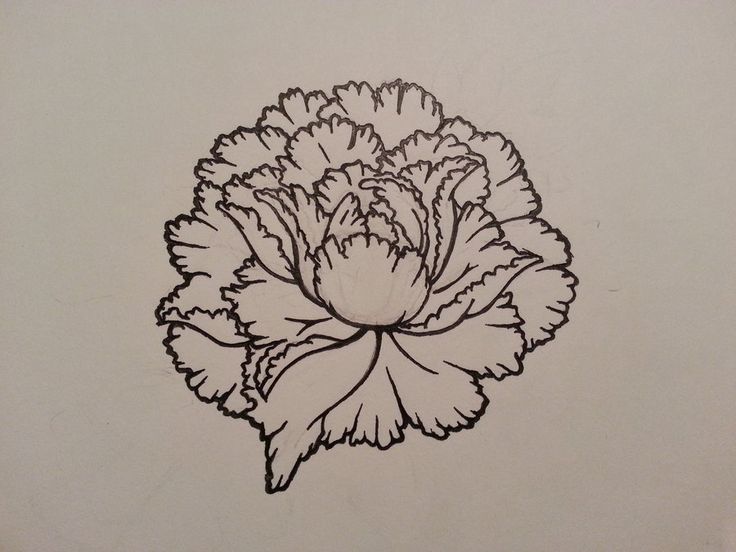 Cool Black Outline Peony Flower Tattoo Stencil