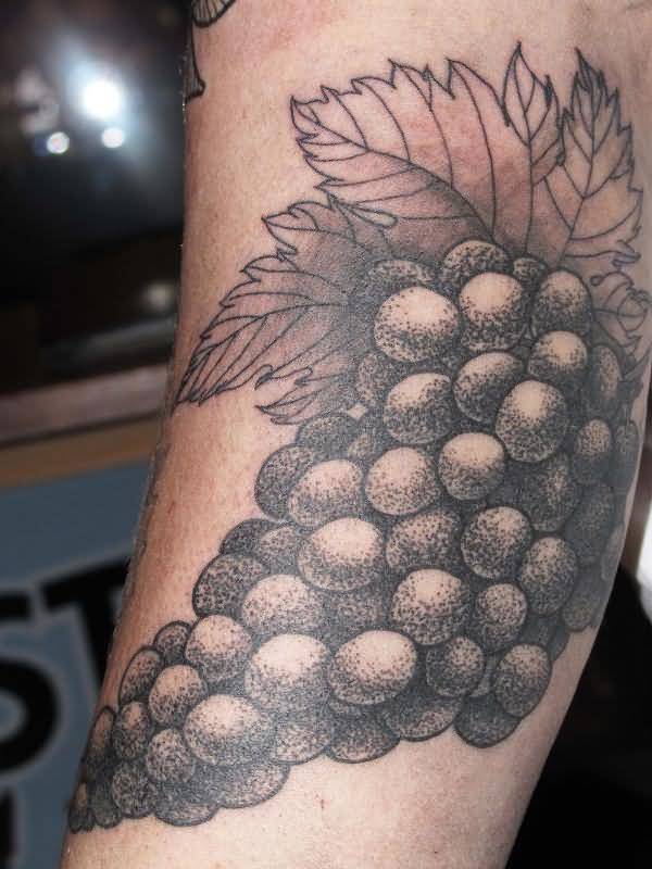 Dotwork Grapes Tattoo Design For Sleeve