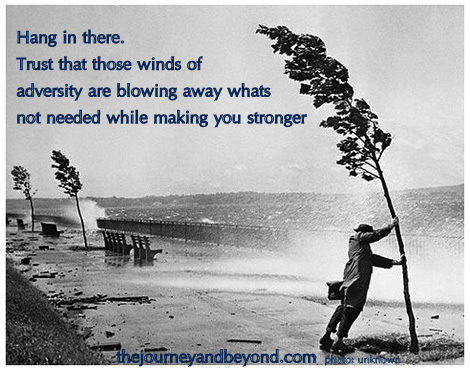 Hang in there. Trust that those winds of adversity are blowing away what's not needed, while making you stronger