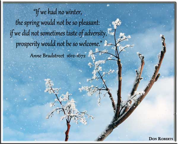 If we had no winter, the spring would not be so pleasant if we did not sometimes taste of adversity, prosperity would not be so welcome. -Anne Bradstreet.