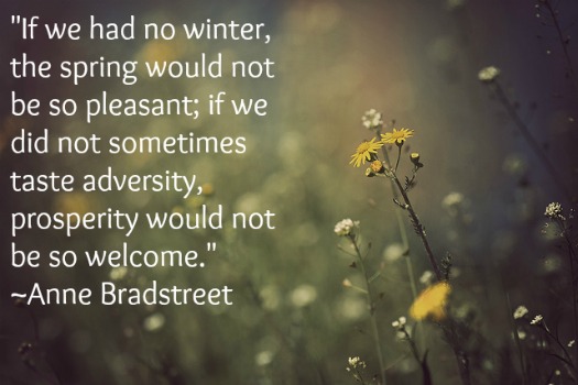 If we had no winter, the spring would not be so pleasant if we did not sometimes taste of adversity, prosperity would not be so welcome.  - Anne Bradstreet