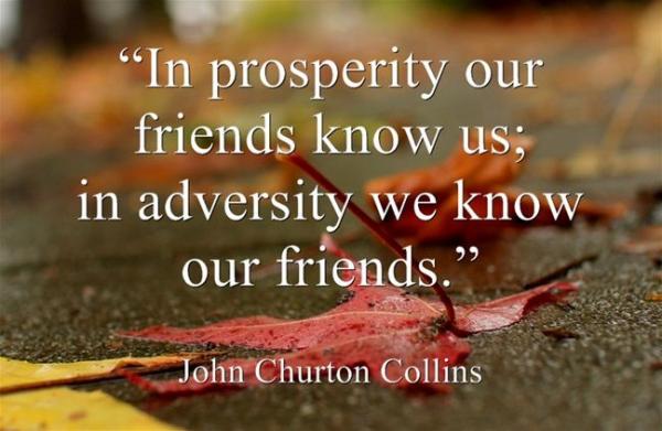 In prosperity, our friends know us; in adversity, we know our friends. - John Churton Collins