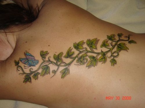 Poison Ivy Plant With Butterfly Tattoo On Girl Full Back