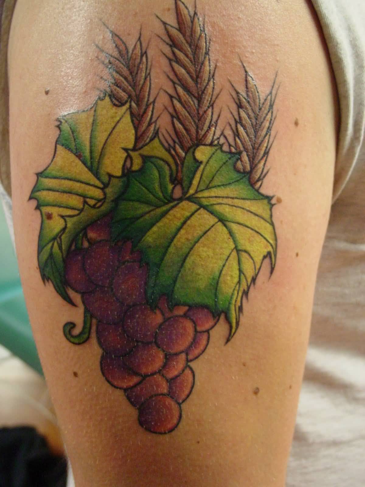 Purple Ink Grapes Tattoo Design For Half Sleeve