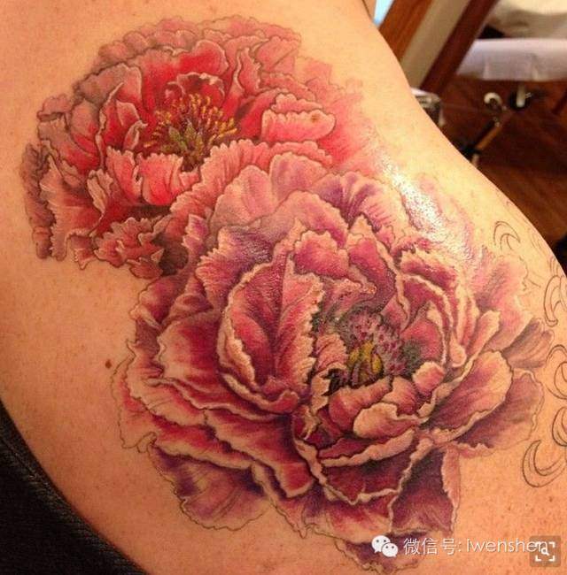 Realistic Peony Flowers Tattoo On Right Back Shoulder