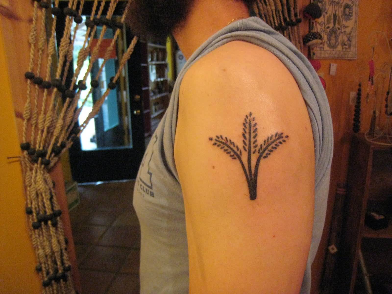 Simple Black Wheat Tattoo On Man Left Shoulder