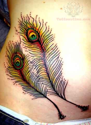 Traditional Two Peacock Feathers Tattoo On Right Hip