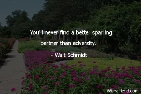 You'll never find a better sparring partner than adversity. - Walt Schmidt