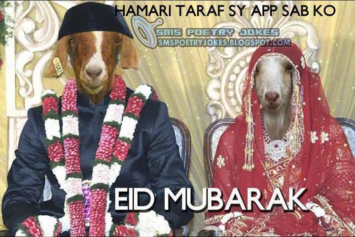 Hamari Taraf Se Ap Sab Ko Bakra Eid Mubarak Wishes Funny Picture