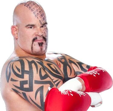 Black Tribal Tattoo On WWE Matt Bloom Chest And Half Sleeve