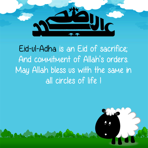 Eid Al-Adha Is An Eid Of Sacrifice And Commitment Of Allah's Orders. May Allah Bless s Us With The Same In All Circles Of Life Happy Eid Al-Adha 2016