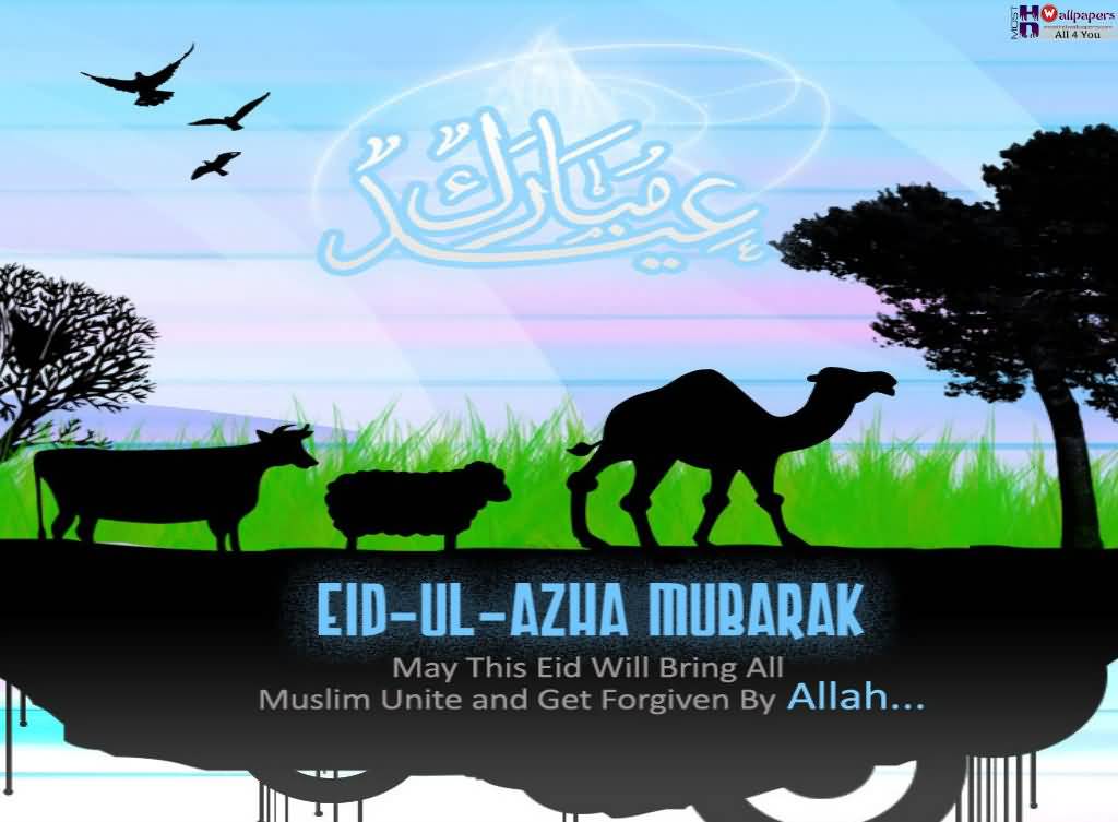 Eid Al-Adha Mubarak 2016 May This Eid Will Bring All Muslim Unite And Get Forgiven By Allah
