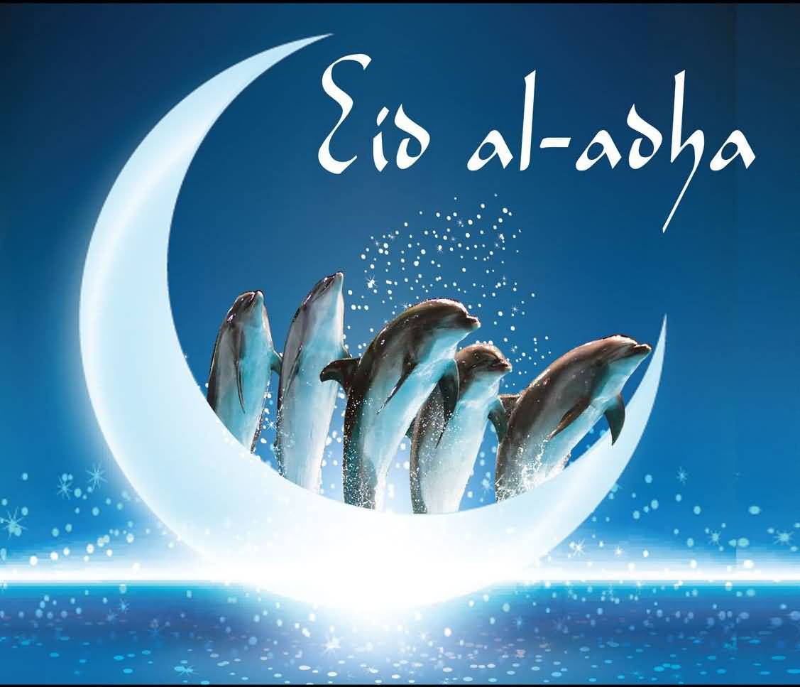 Eid al-Adha Wishes Dolphins Jumps Over The Moon Picture