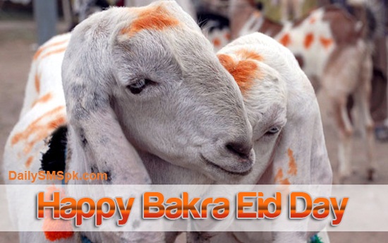 Happy Bakra Eid Day Wishes Picture