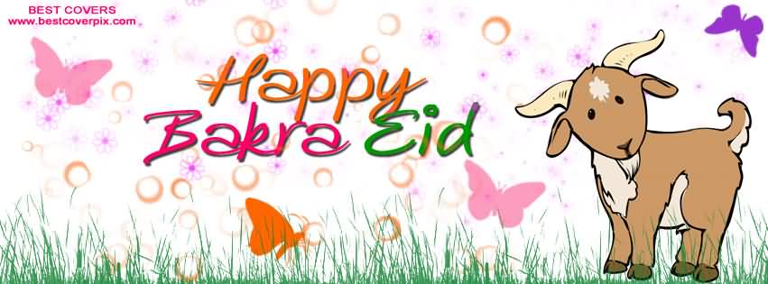 Happy Bakra Eid Goat Facebook Cover Picture