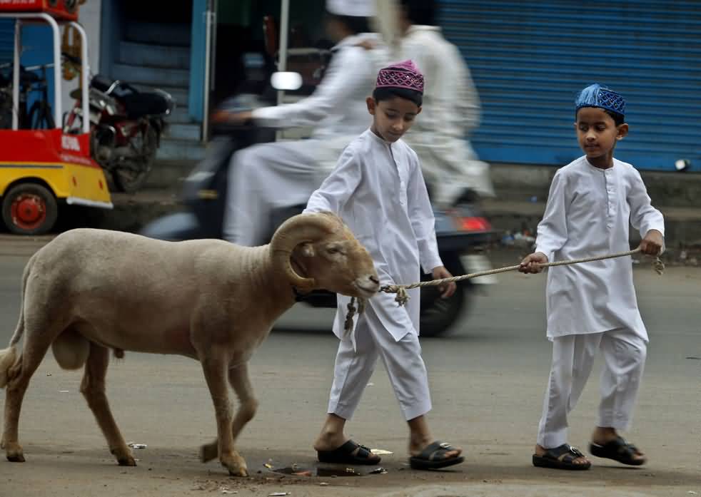 Kids Taking Goat For Kurbani On The Eve Of Eid al-Adha