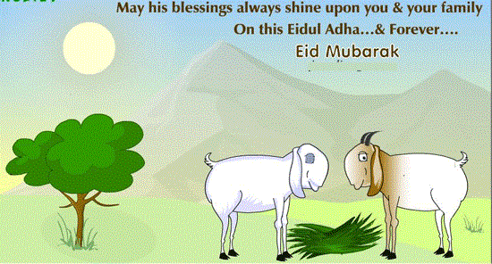 May His Blessings Always Shine Upon You & Your Family On This Eid Al-Adha & Forever Eid Mubarak