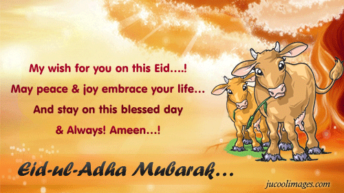 My-Wish-For-You-On-This-Eid-May-Peace-Jo