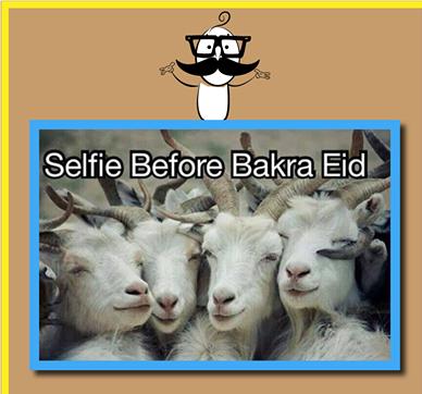 Selfie Before Bakra Eid Wishes Picture