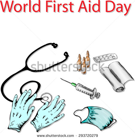 World First Aid Day Kit Picture