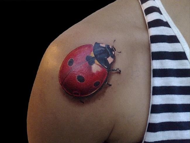 3D Ladybug Tattoo On Right Shoulder