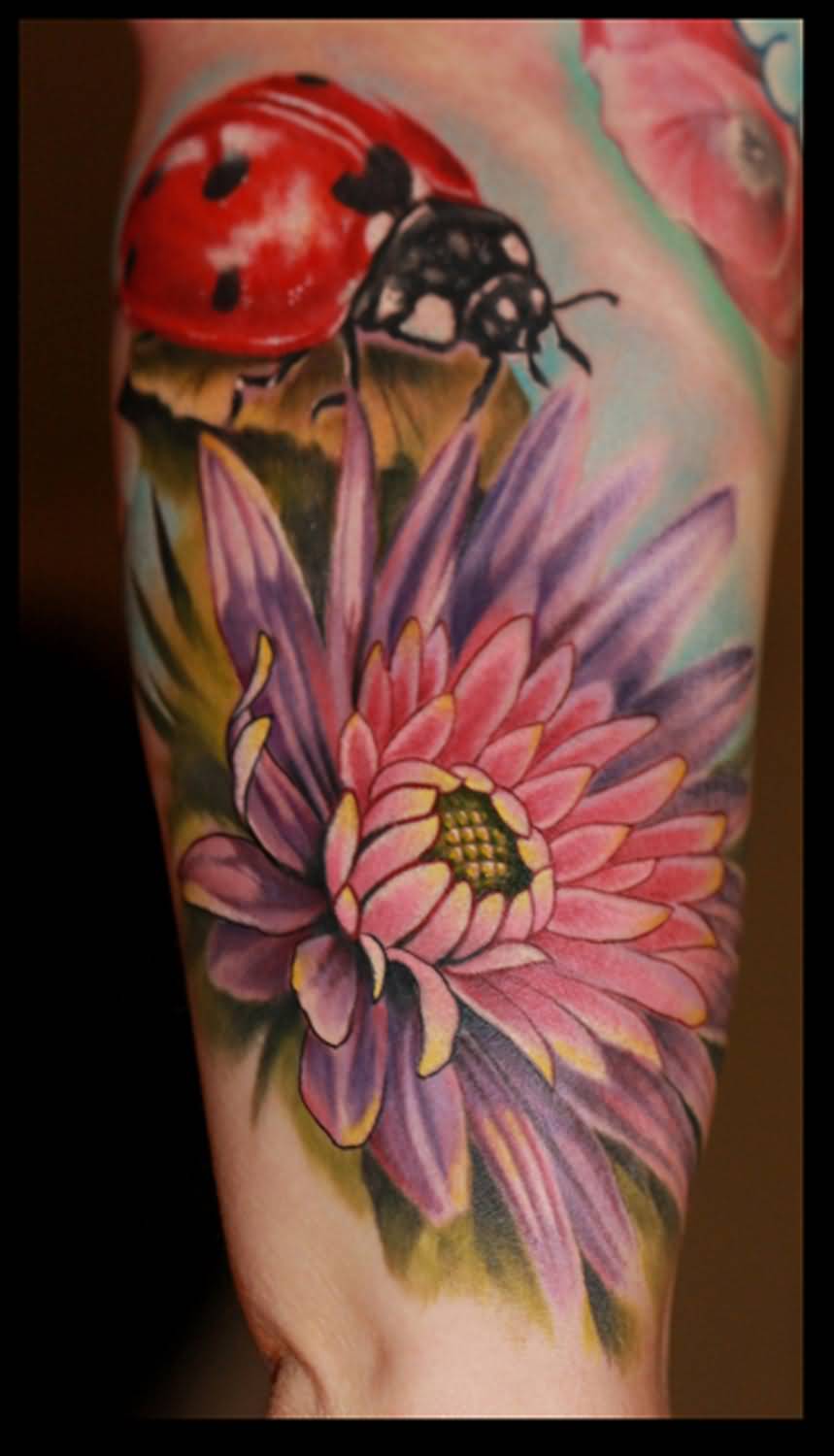 Amazing Color Flower And Ladybug Tattoo On Half Sleeve