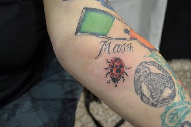 Amazing Ladybug Tattoo On Left Forearm