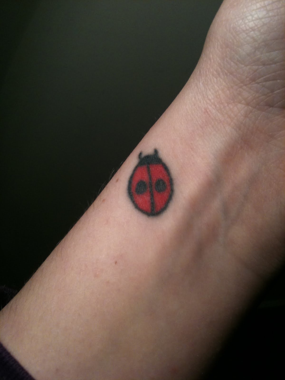 Amazing Red Ladybug Tattoo On Left Wrist