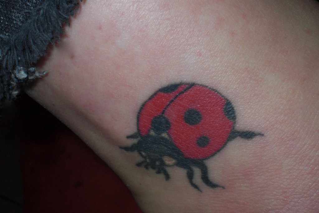 Awesome Color Ink Ladybug Tattoo