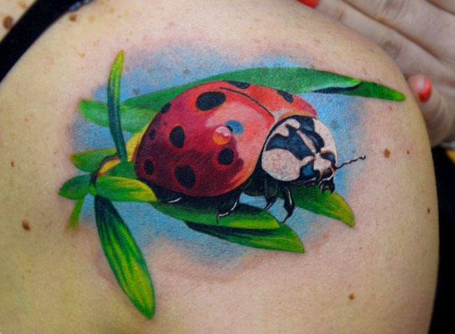 Beautiful Green Leaves Ladybug Tattoo On Right Back Shoulder