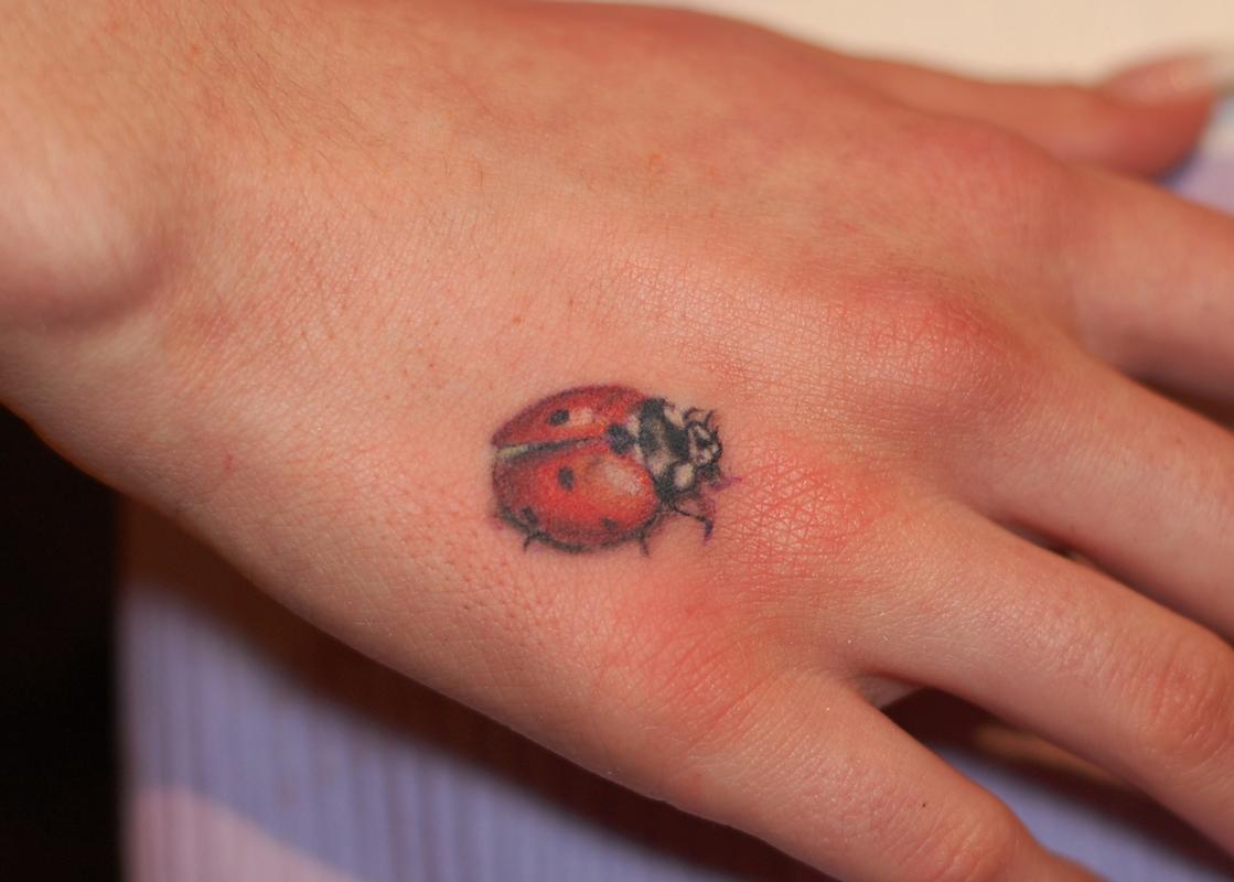 Beautiful Ladybug Tattoo On Right Hand