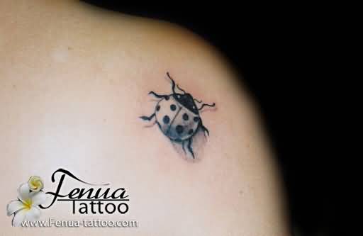 14+ Latest Ladybug Tattoos Designs