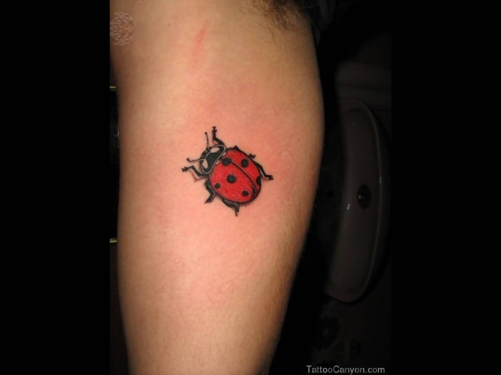 Black And Red Ink Sweet Ladybug Tattoo