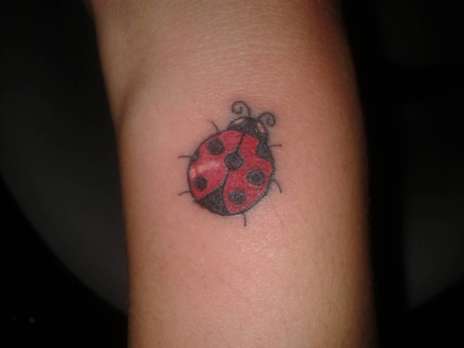 Black And Red Ladybug Tattoo On Forearm
