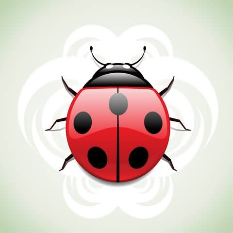 Black And Red Ladybug Tattoos Design