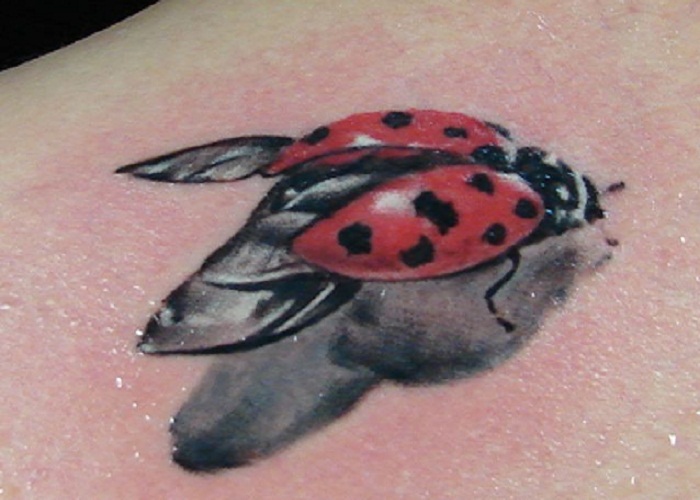 Black Wings Ladybug Tattoo