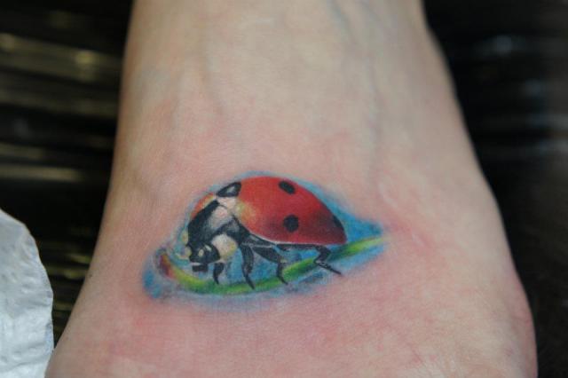 Color Ink Ladybug Tattoo On Foot