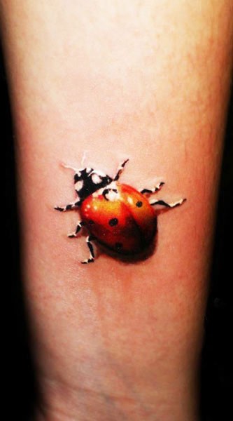 Crawling Ladybug Tattoo On Forearm