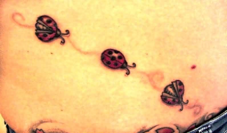 Cute Small Three Ladybug Tattoos On Waist