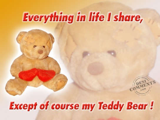 Everything In Life I Share, Except Of Course My Teddy Bear Happy National Teddy Bear Day 2016