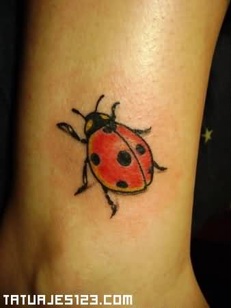 Fantastic Ladybug Tattoo On Leg