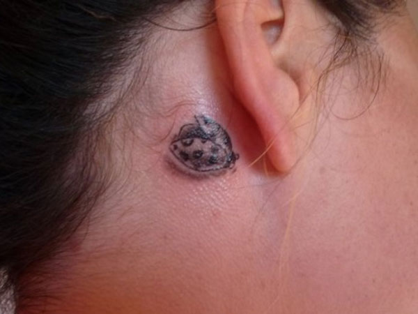Grey Ink Ladybug Tattoo Behind The Ear