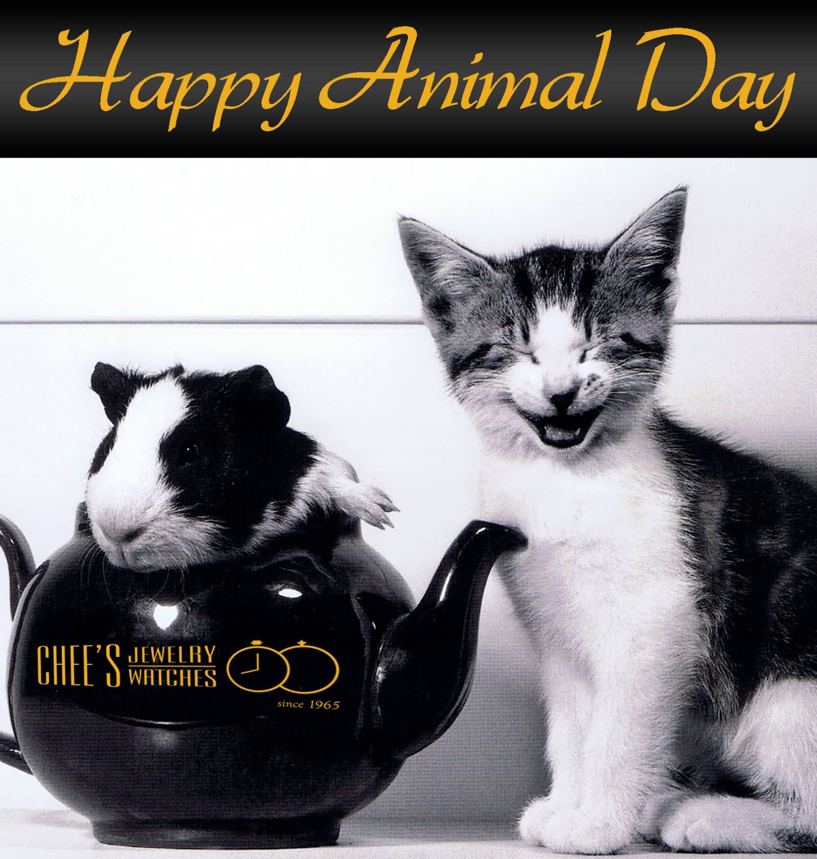 Happy Animal Day Cat And Mouse Picture
